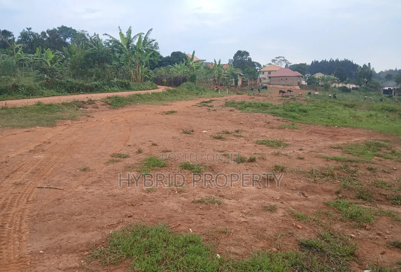 Prime Plots for Sale at Namusera~Wakiso Tarmac View Divine Land Estate