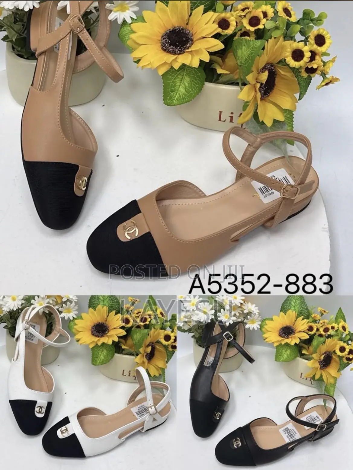 Ladies Shoes