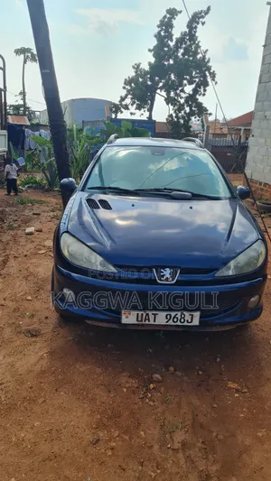 Peugeot Rally 2005 Blue