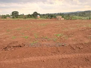 Prime Plots for Sale at Bulondo~Mabombwe Wakiso Elite Land Estate.