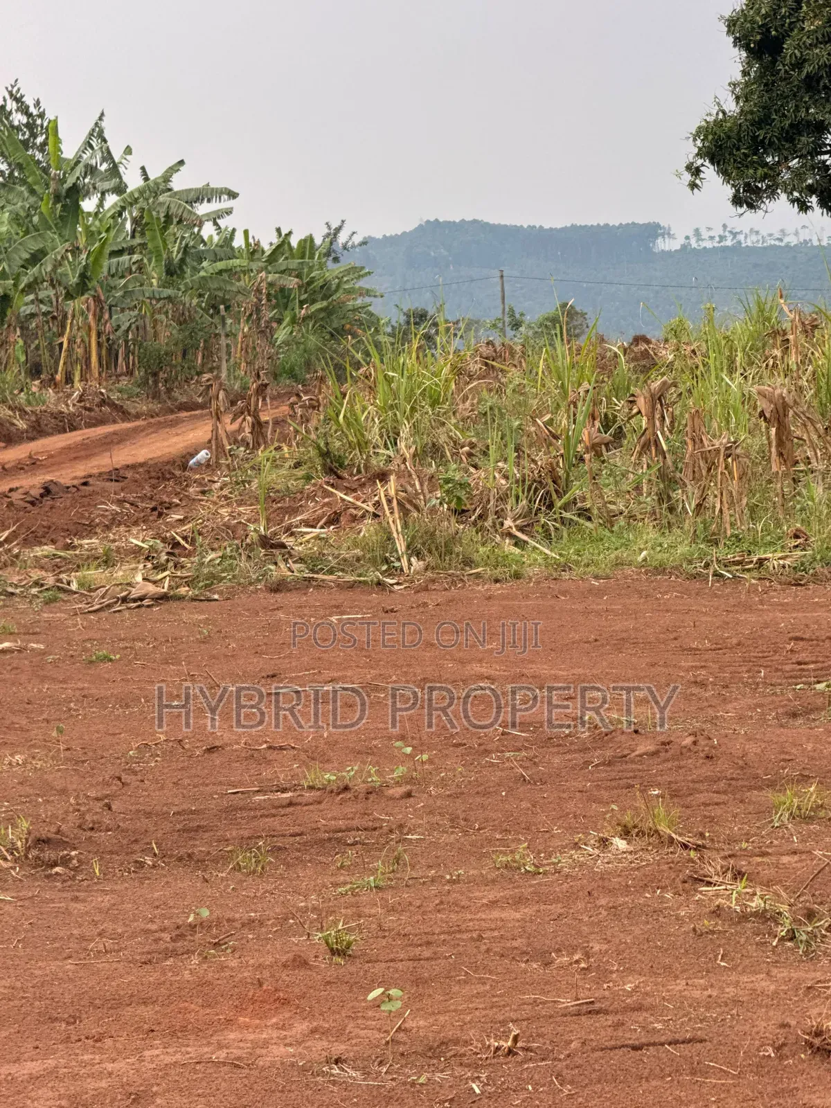 Prime Plots for Sale at Bulondo~Mabombwe Wakiso Elite Land Estate.