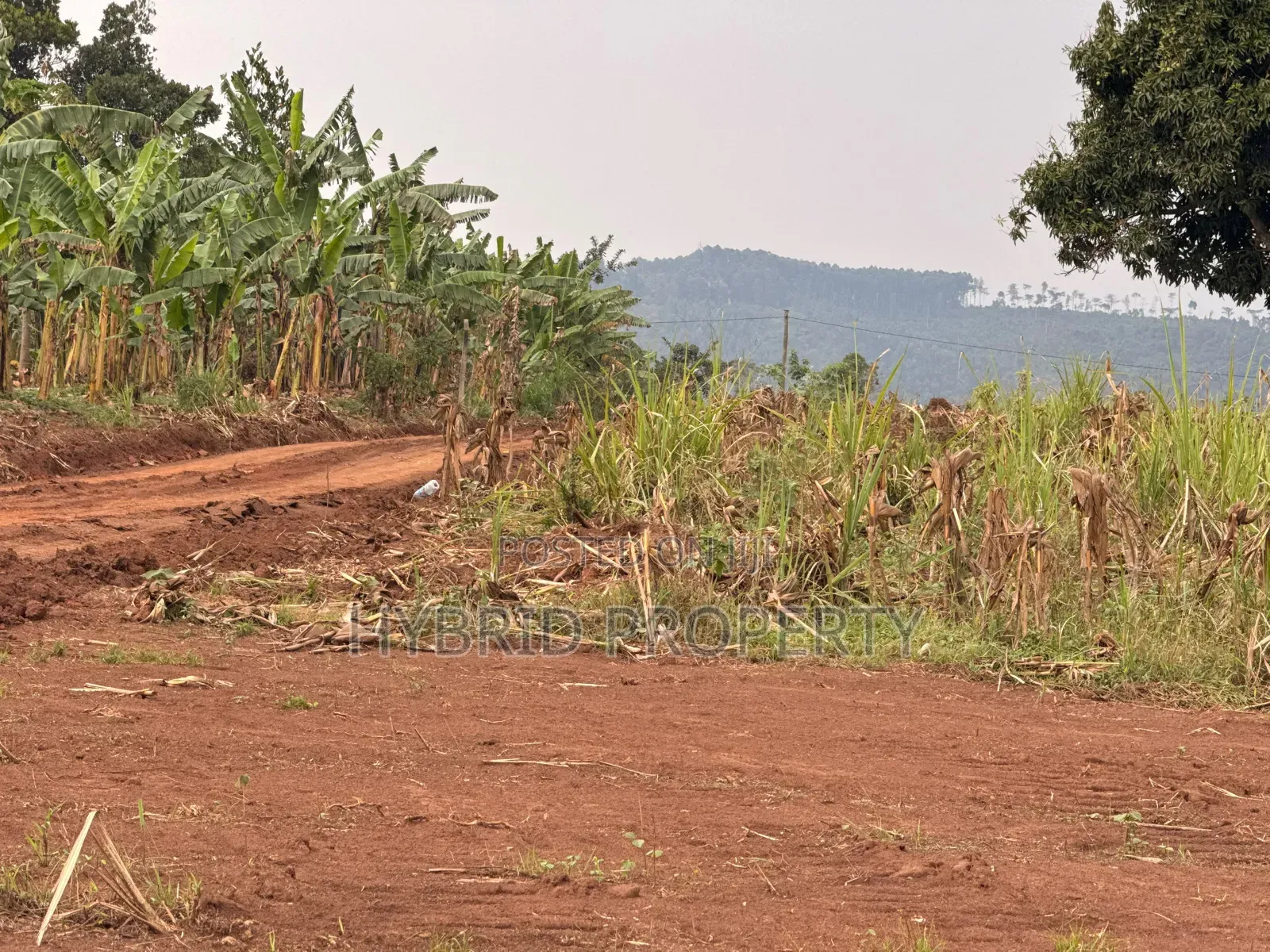 Prime Plots for Sale at Bulondo~Mabombwe Wakiso Elite Land Estate.
