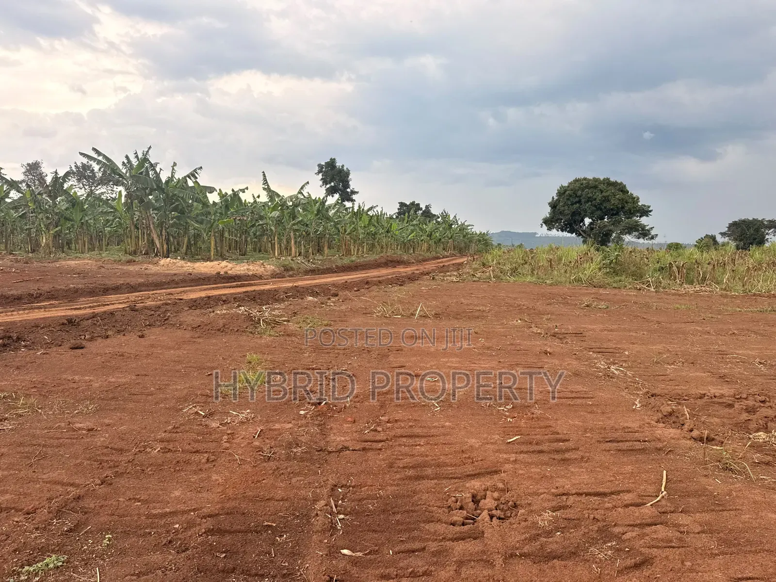 Prime Plots for Sale at Bulondo~Mabombwe Wakiso Elite Land Estate.