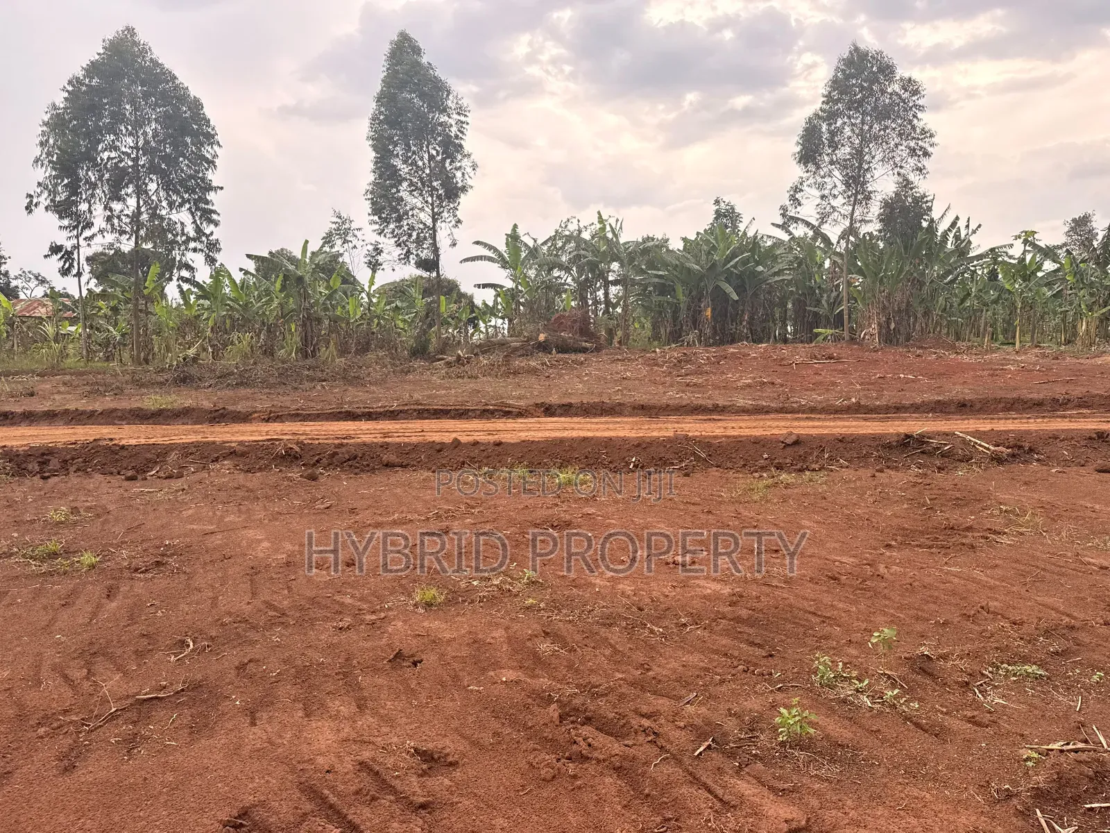 Prime Plots for Sale at Bulondo~Mabombwe Wakiso Elite Land Estate.