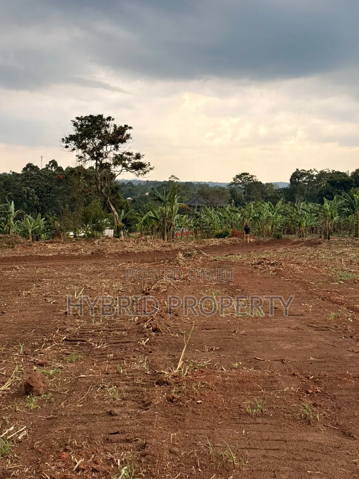 Prime Plots for Sale at Bulondo~Mabombwe Wakiso Elite Land Estate.