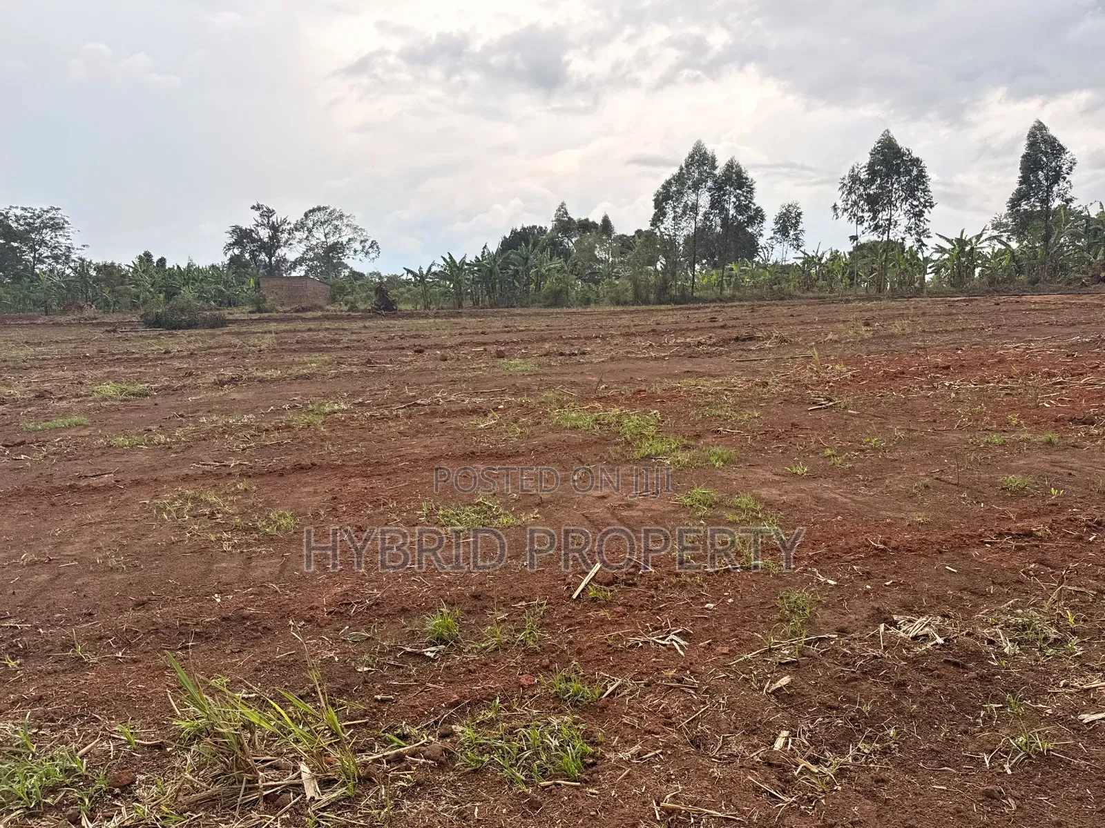Prime Plots for Sale at Bulondo~Mabombwe Wakiso Elite Land Estate.