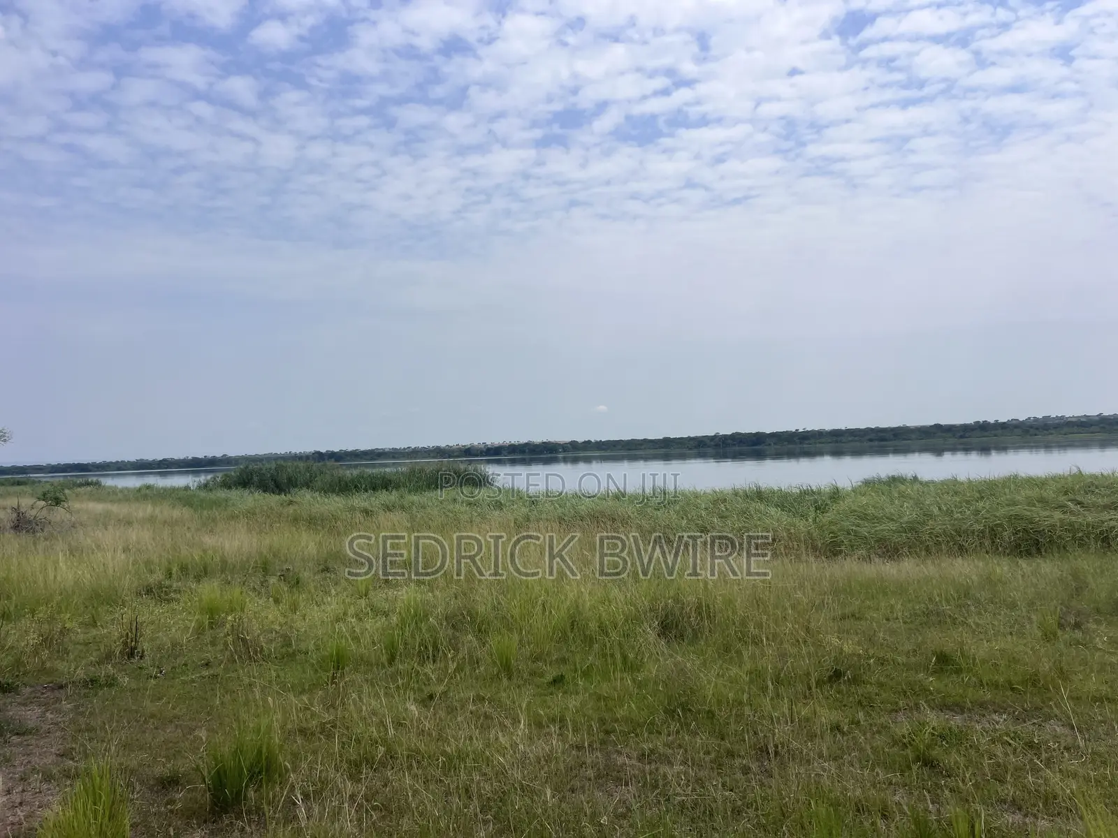 Land at Murchison Falls National Park