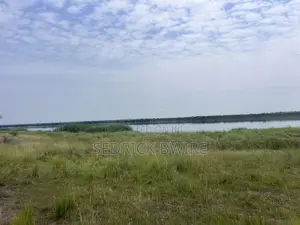 Land at Murchison Falls National Park