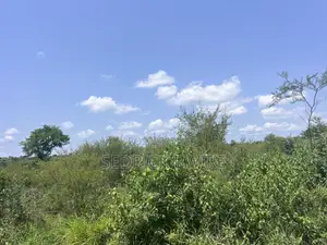 Land at Murchison Falls National Park