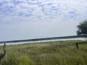 Land at Murchison Falls National Park