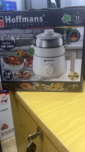 Multi - Functional Electric Cooker