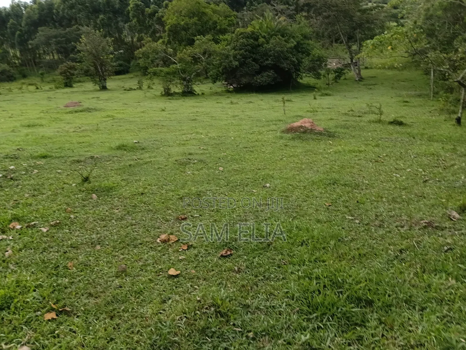 Land for Agriculture