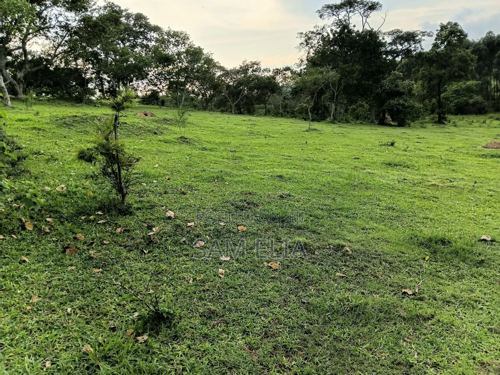 Land for Agriculture