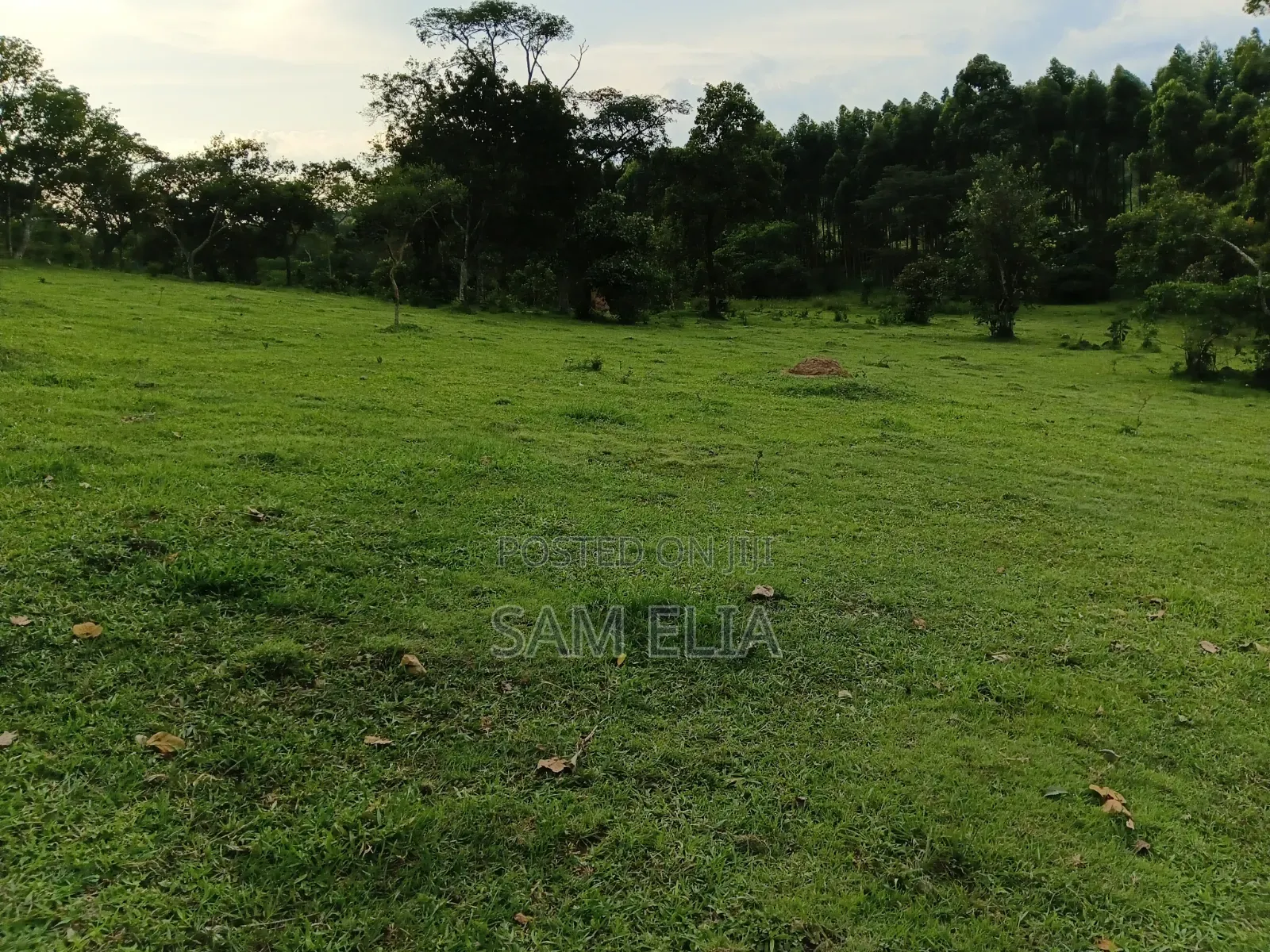 Land for Agriculture
