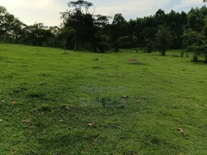 Land for Agriculture
