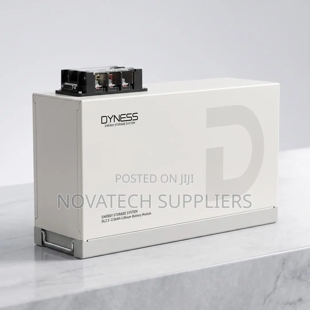 Dyness 2.56kWh 24V Lithium Battery – 6000 Cycles + 7 Years Warranty
