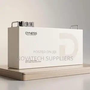 Dyness 2.56kWh 24V Lithium Battery – 6000 Cycles + 7 Years Warranty
