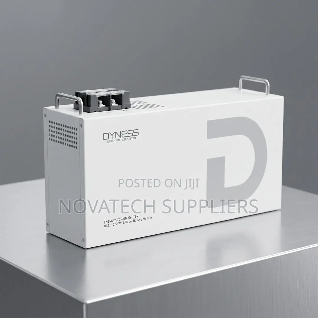 2.56kWh Dyness DL2.5 24V 100Ah LiFePO4 – 6000 Cycles | 7 Year Warranty