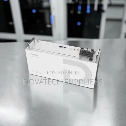 Premium Dyness 2.56kWh Lithium Battery – 6000 Cycles | 7 Years 100A
