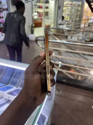 Apple iPhone 12 Pro Max 512 GB Gold