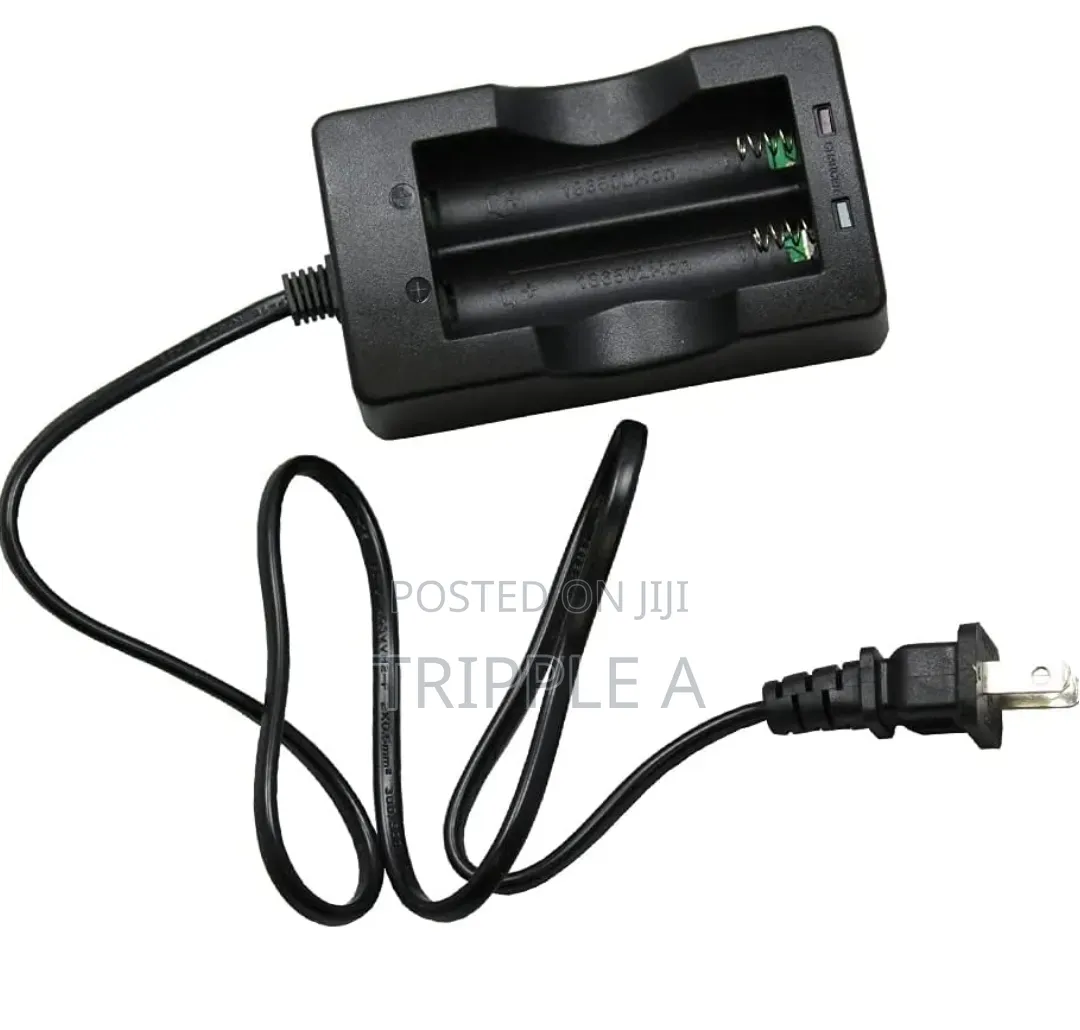 High Capacity Battery Charger