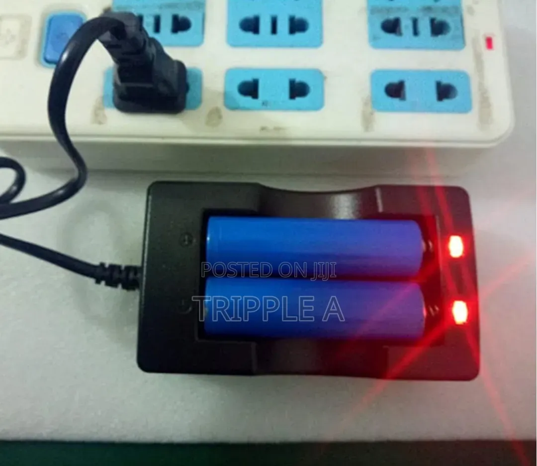 High Capacity Battery Charger
