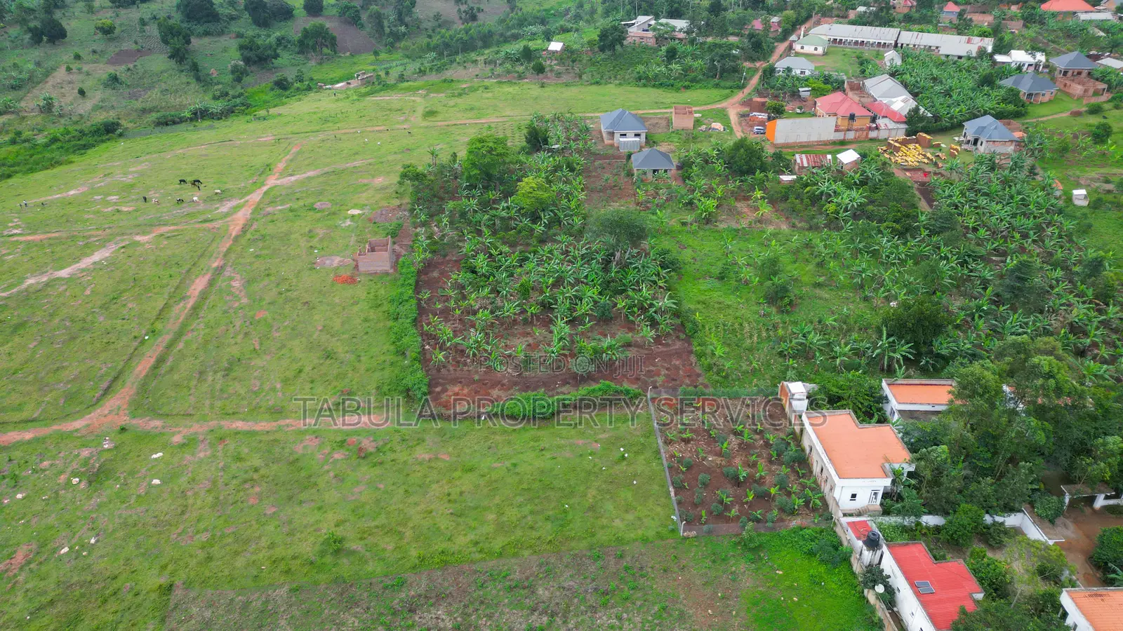 Bombo Estate