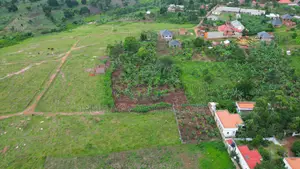 Bombo Estate