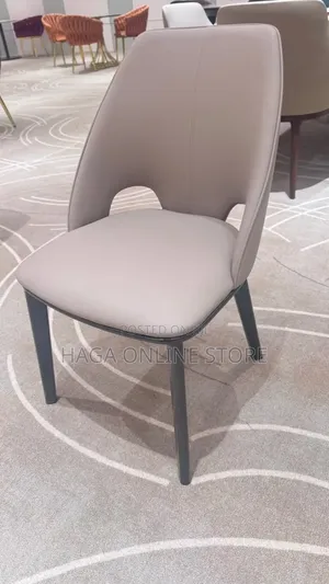Dinning Chairs for Modern Homes