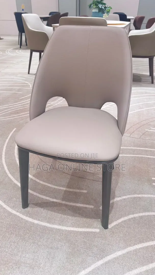 Dinning Chairs for Modern Homes