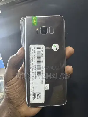 Samsung Galaxy S8 Plus 64 GB Silver