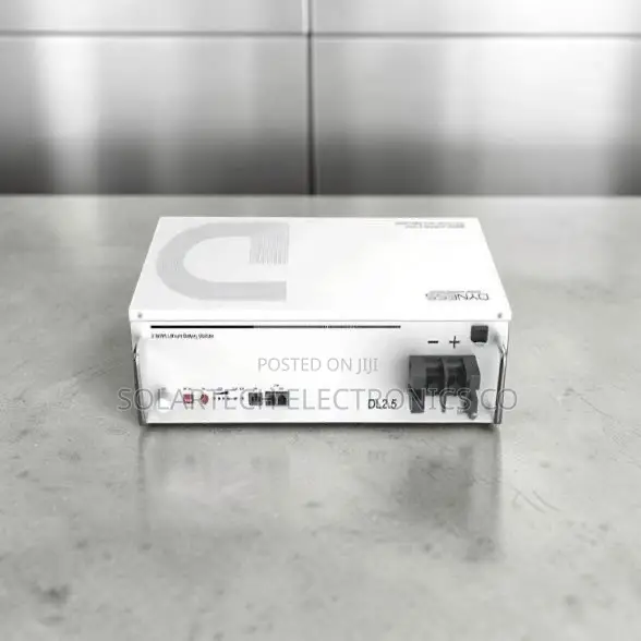 Dyness 2.56kWh 24V Lithium Battery – 6000 Cycles + 7 Years Warranty