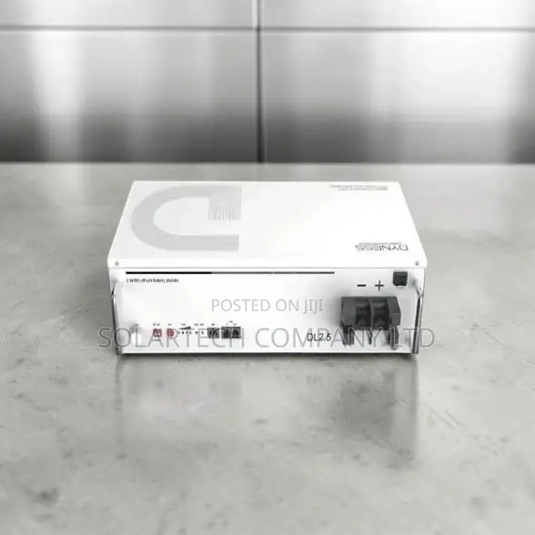Dyness 2.56kWh 24V Lithium Battery – 6000 Cycles + 7 Years Warranty