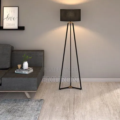Accent Floor Lamps