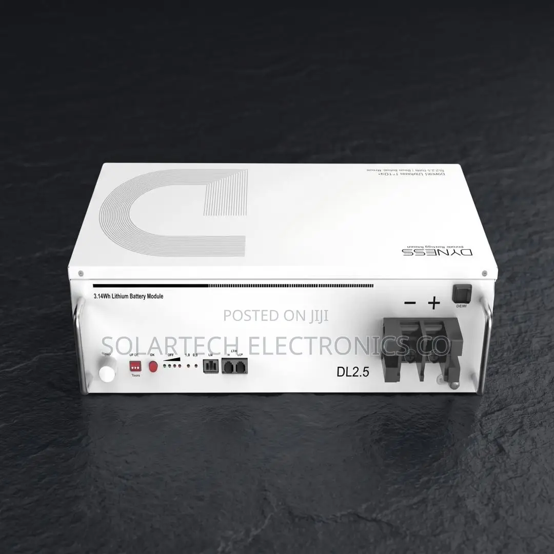 Premium Dyness 2.56kWh Lithium Battery – 6000 Cycles | 7 Years