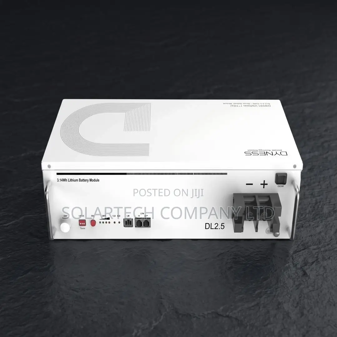 Premium Dyness 2.56kWh Lithium Battery – 6000 Cycles | 7 Years