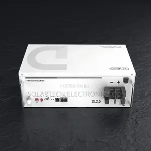 Premium Dyness 2.56kWh Lithium Battery – 6000 Cycles | 7 Years