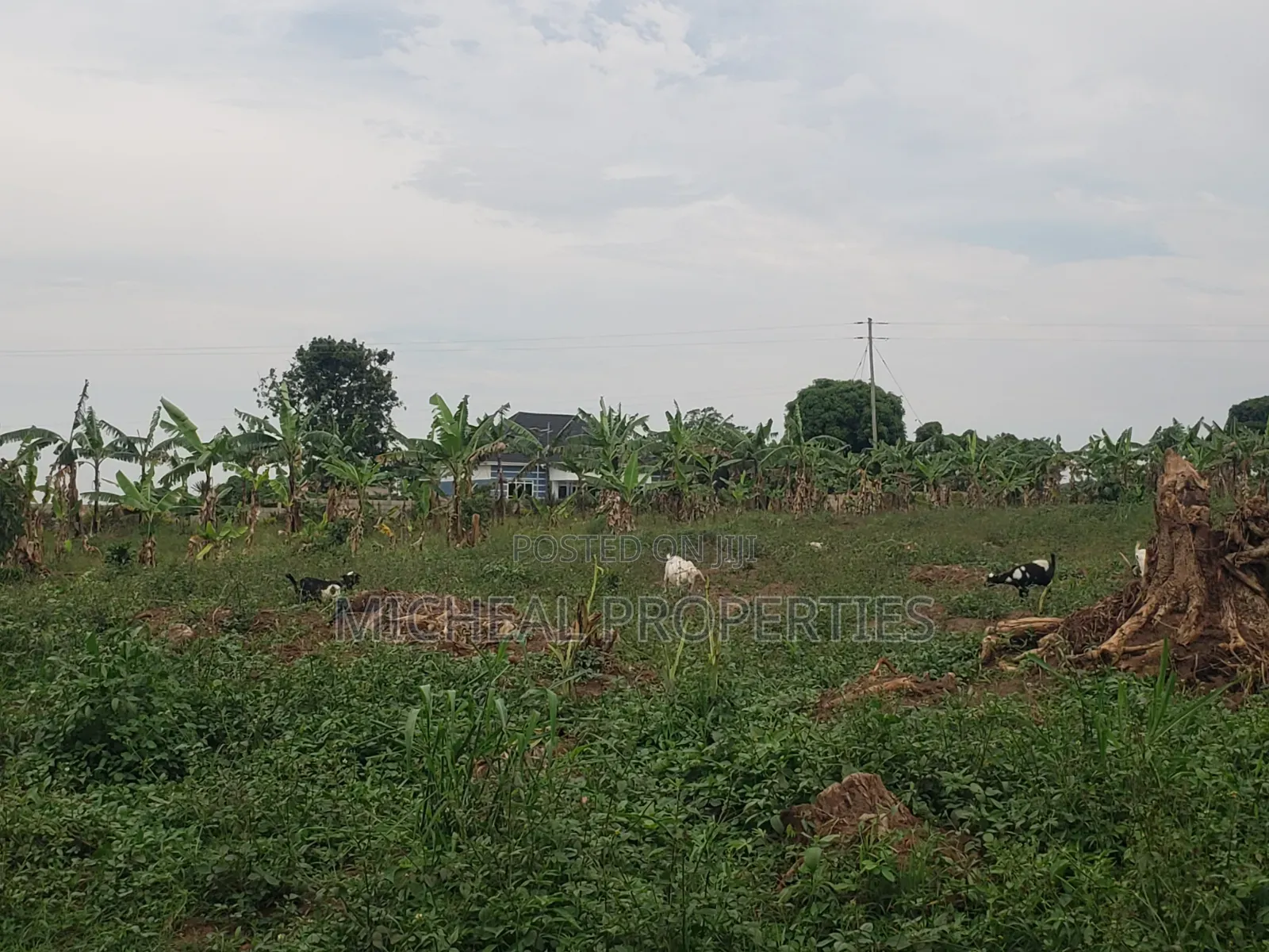 Plot for Sell Kiwenda Degeya at 12m