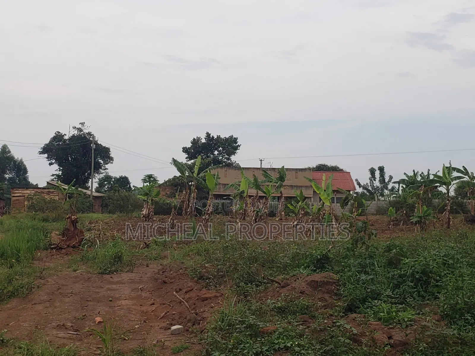 Plot for Sell Kiwenda Degeya at 12m