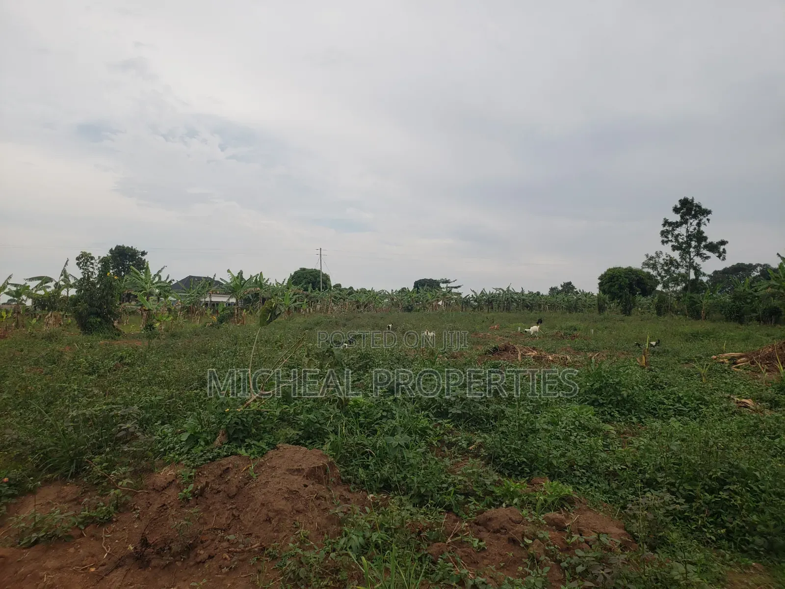 Plot for Sell Kiwenda Degeya at 12m