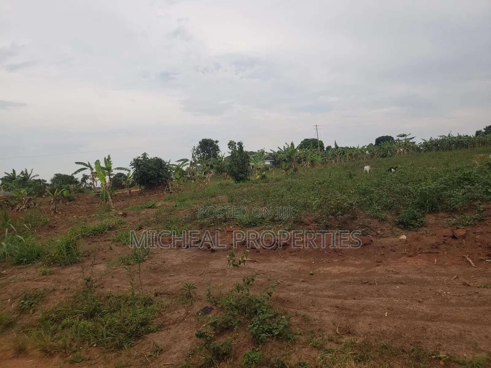 Plot for Sell Kiwenda Degeya at 12m