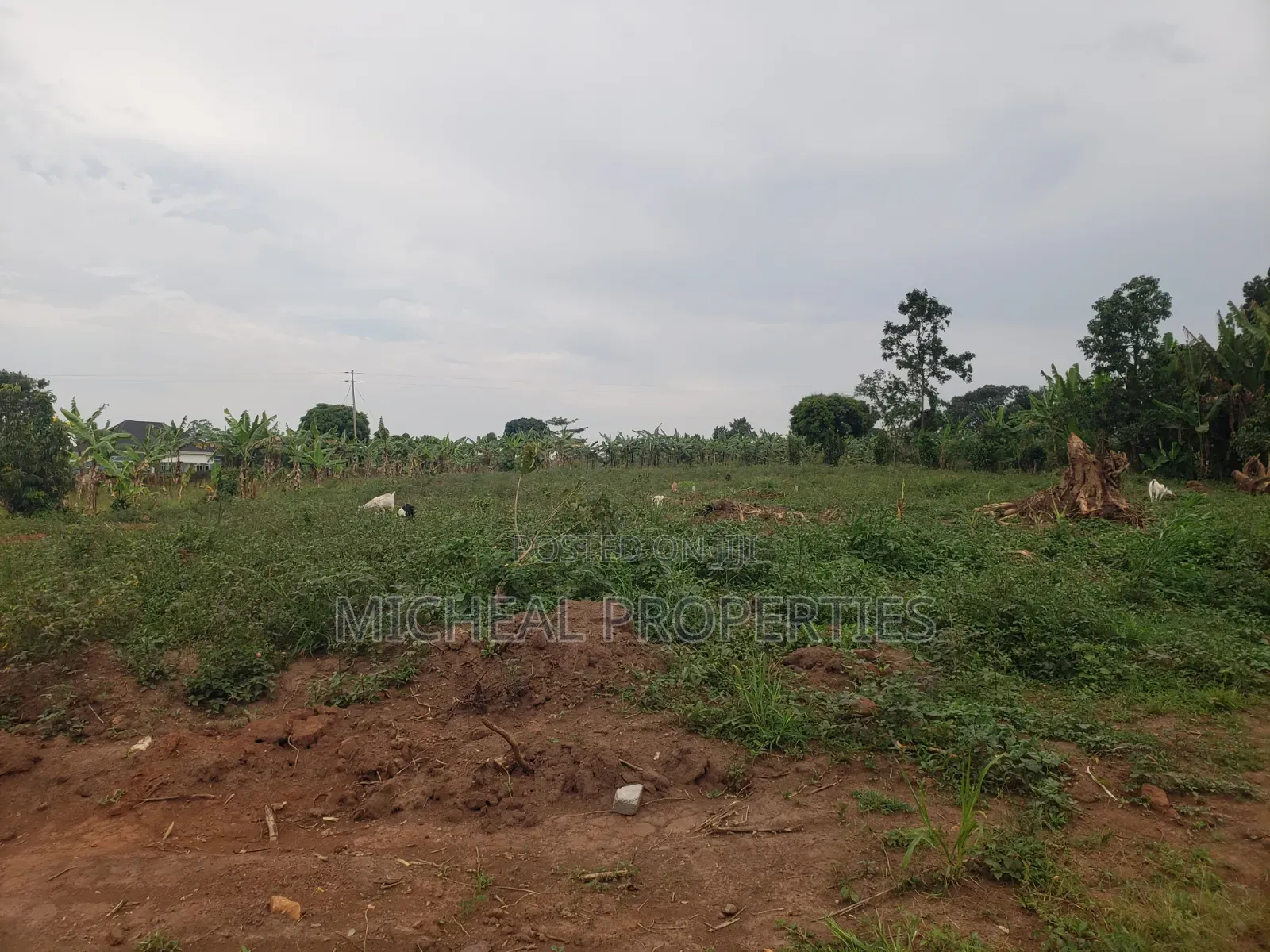 Plot for Sell Kiwenda Degeya at 12m