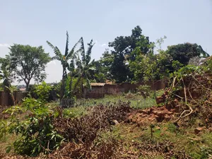 Plot on Sell Mpelerwe Town at 85m