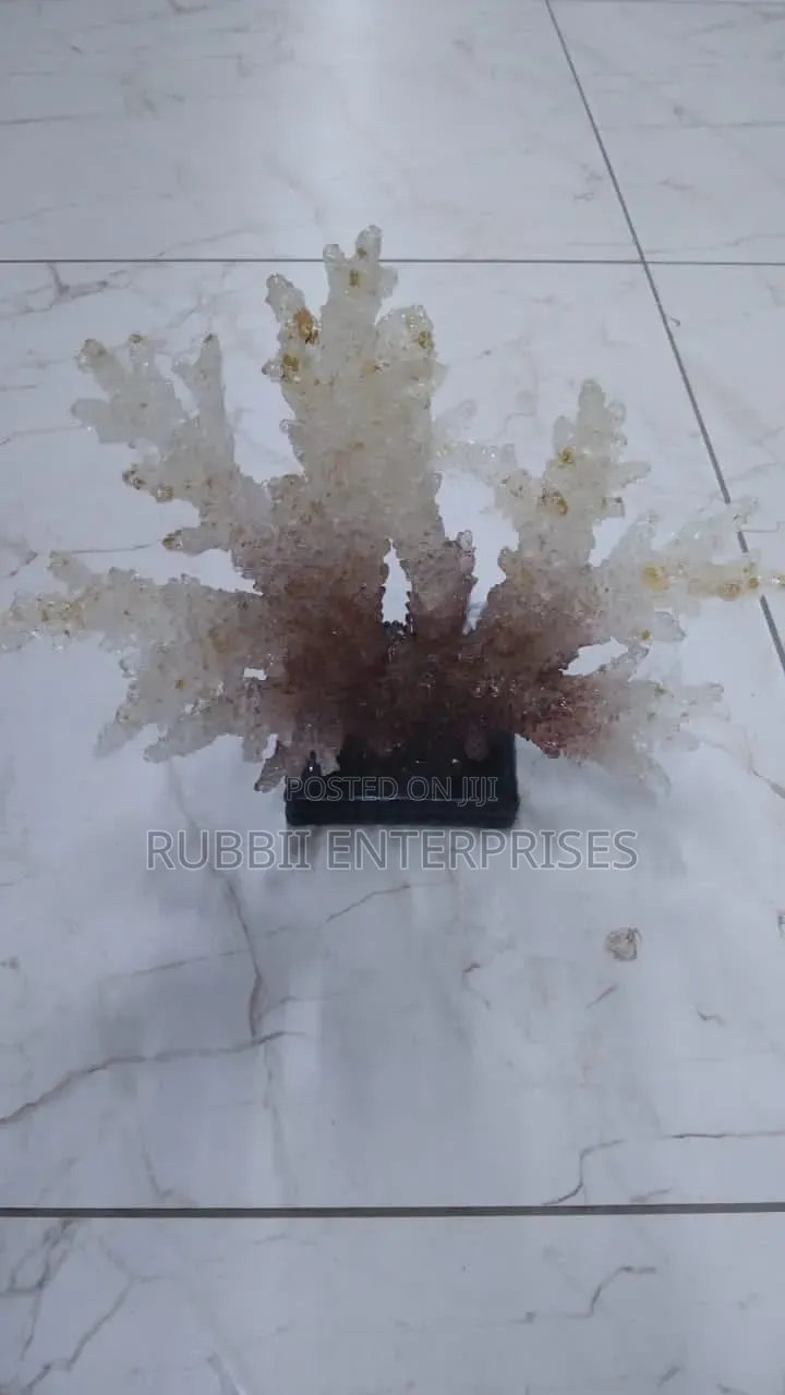 Decorative Branching Coral Sculpture Ornaments.