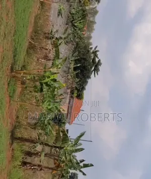 Titled Plot for Sale in Namulonge