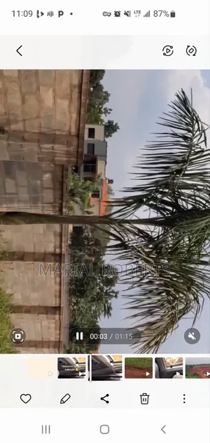 Titled Plot for Sale in Namulonge
