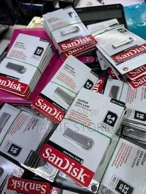 64GB Sandisk Flash 3.1, Super Fast Flash Disk