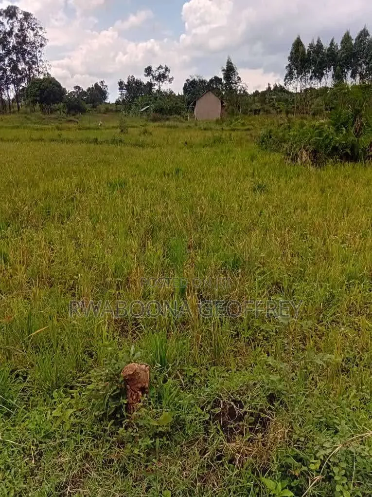 Land for Sale
