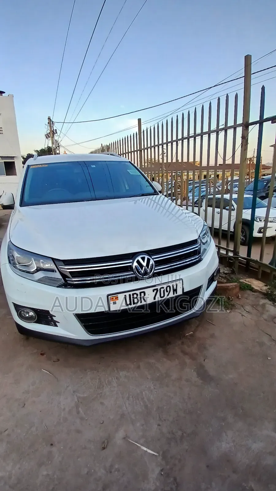 Volkswagen Tiguan 2013 White