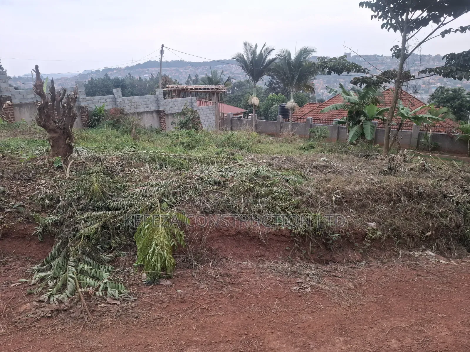 Bunamwaya Ngobe Hill Plot